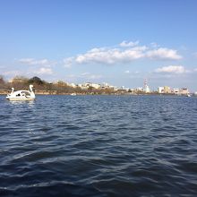 天気のいい日はとても気持ちがいいです。