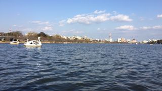 ゆったりとアヒルさんボート。