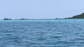 船長さんが気さくでまったりと海底と海を楽しめます