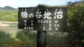 歩き応えがある、広い沼　「鴫の谷地沼」