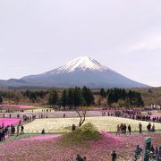 富士山との景色がいいです。