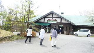 水芭蕉が満開・目にも鮮やかな植物園