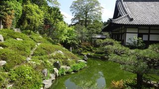 写真展を鑑賞しに