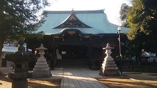 のんびりしています