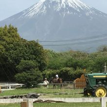 富士山を眺めながら乗馬(^ ^) ロングコース 800円