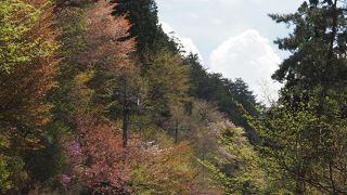 気をいただける神社