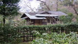 外から見るだけ