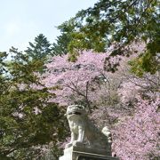 桜がきれいな神社です