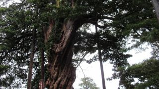 パワースポットらしい。