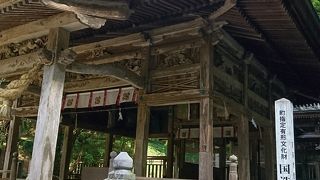 鯰社をお見逃しなく