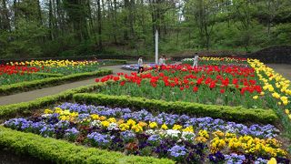 花が綺麗だった。