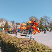 遊具で遊ぶ子供が多い「伏古公園」