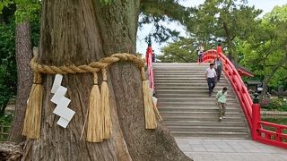 五大力石拾いに夢中