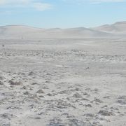 一面の白い砂丘