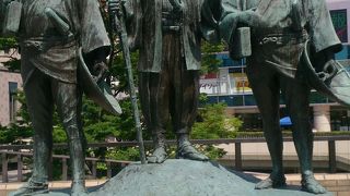 人に慣れた白鳥、黒鳥