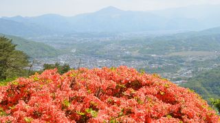 長瀞から気軽に登れる山