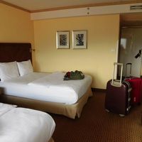 スーツケース２つ開けます。