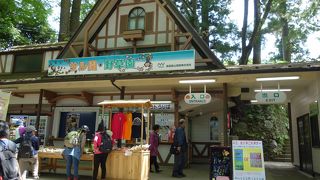 入場料半額の日