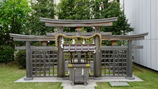 直通エレベーターで屋上まで上がると