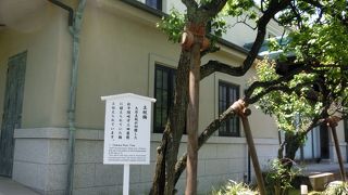 大石主税が切腹した屋敷から移植された