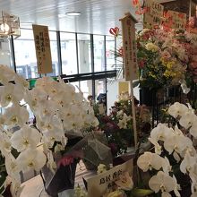 辻本茂雄芸人３０年のお祝いの花