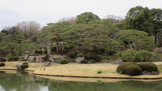 六義園一の景観