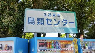 観覧車もありました。