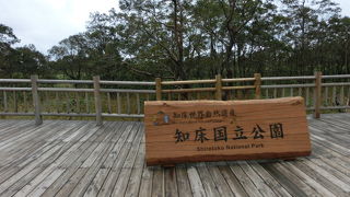 定番ですがまたきてみました