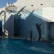 神戸市立須磨海浜水族園