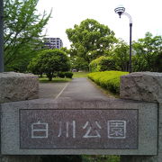 熊本の白川公園