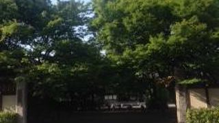 緑の深いお寺でした