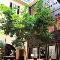 中庭素敵でした