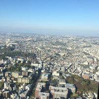 ﾗｳﾝｼﾞからの眺望