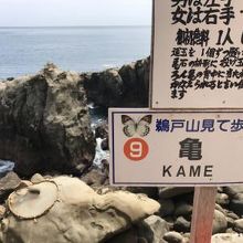 運玉にもチャレンジ