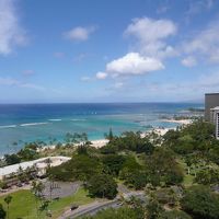 客室からの眺望