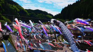 青空に泳ぐ約3,500匹のこいのぼり