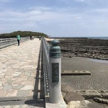 橋を渡りながら見学