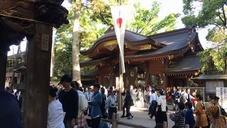 参拝とイベント観光