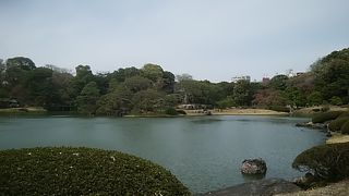 桜の季節はとても人出が多いです