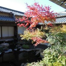 中庭も撮影可。紅葉が見られました