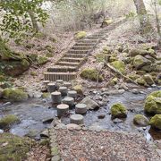 自然豊かな森林公園です