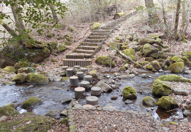 自然豊かな森林公園です