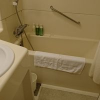 バスルームはやや狭めですが前泊なので気になりません