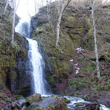 このくらいまで近づける