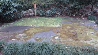 もう一つのしだれ桜前