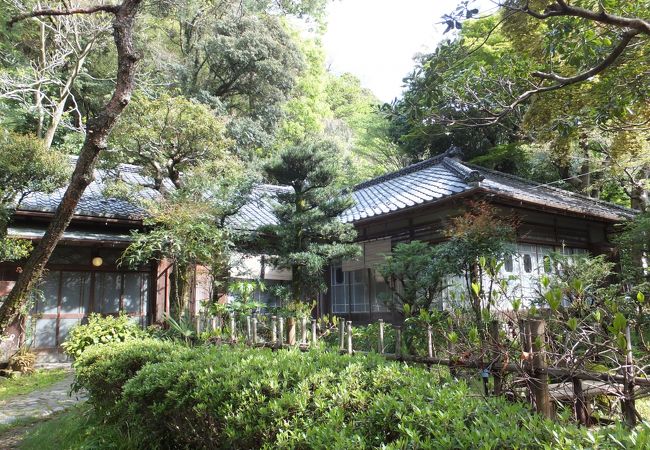 平賀敬美術館 クチコミ アクセス 営業時間 箱根湯本温泉 フォートラベル 平賀敬美術館 クチコミ アクセス 営業時間 箱根湯本温泉 フォートラベル