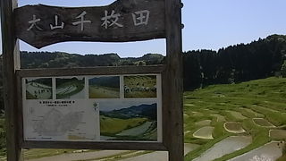 想像以上に美しい千枚田