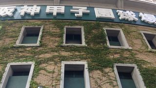 高校野球観戦にはバックネット裏がおすすめ