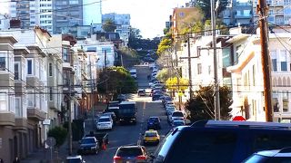 下から見ても美しい