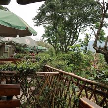 暑いけど外でお茶を楽しむ